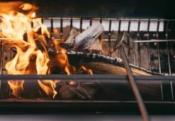 Biolite FirePit FirePoker -rejseudstyr Butik 70500090 3