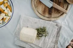 Primus CampFire Knife Large -rejseudstyr Butik 72200064 4