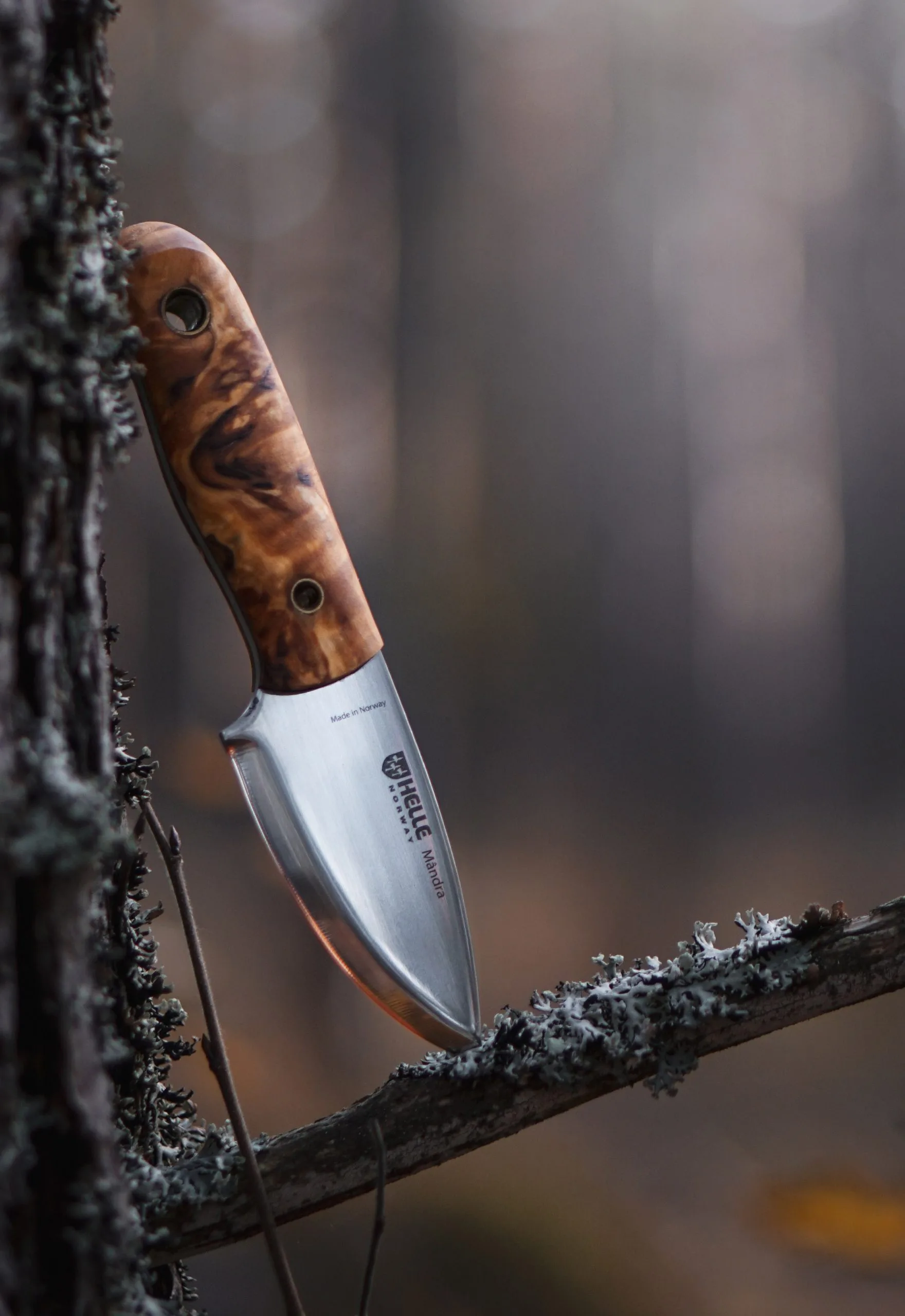 Helle Mândra Full Tang Knife 6 Helle Mândra Full Tang Knife - Billede 4