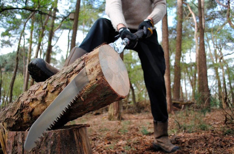 Silky Katanaboy 500 Folding Saw 7 Silky Katanaboy 500 Folding Saw - Billede 5