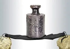 Euroschirm Birdiepal® Outdoor Umbrella -rejseudstyr Butik 95300003 3